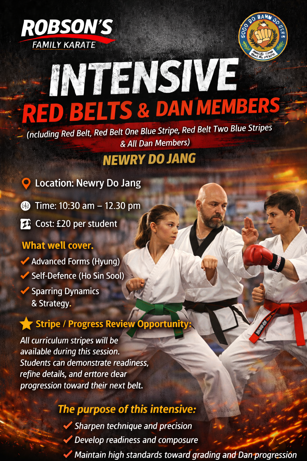 February Intensive Training Session – Red belt, Red belt 1 stripe, Red belt 2 stripes and all Dan members
