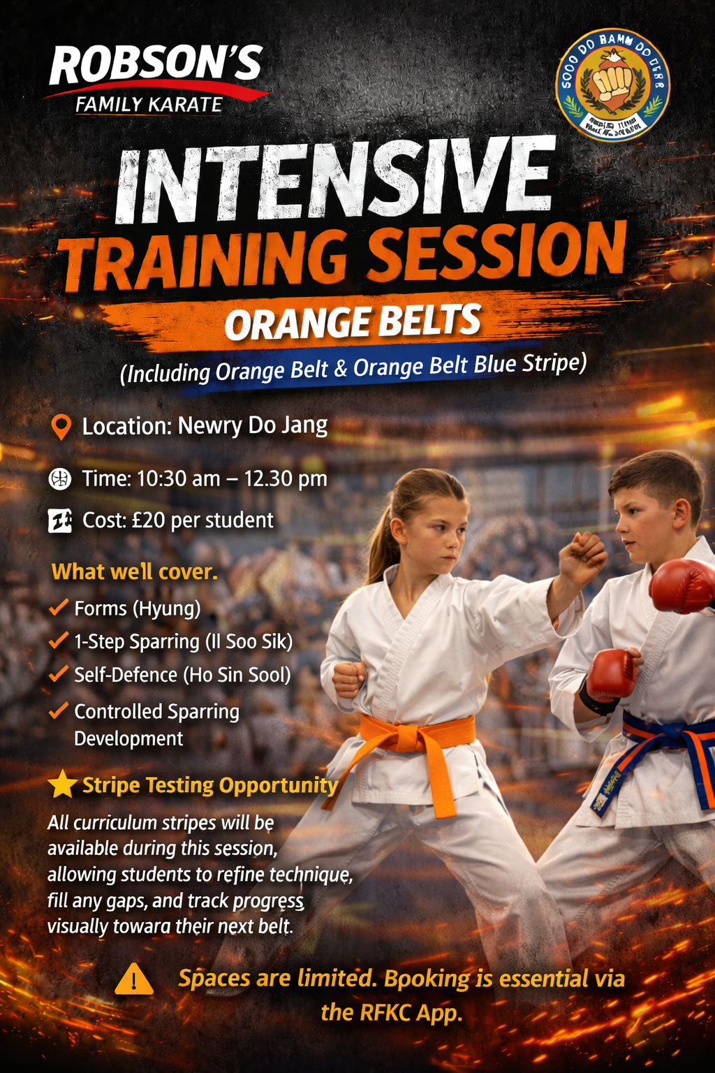 May Intensive Training all Orange Belt and Orange Belt Blue Stripe Curriculum