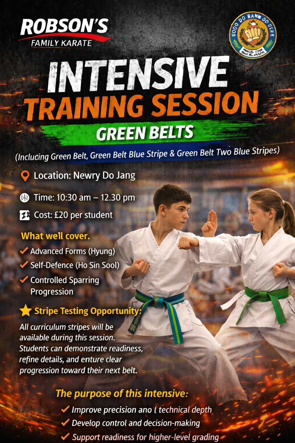 August Intensive Training All Green Belt, Green Belt 1 Stripe and Green Belt 2 Stripes Curriculum