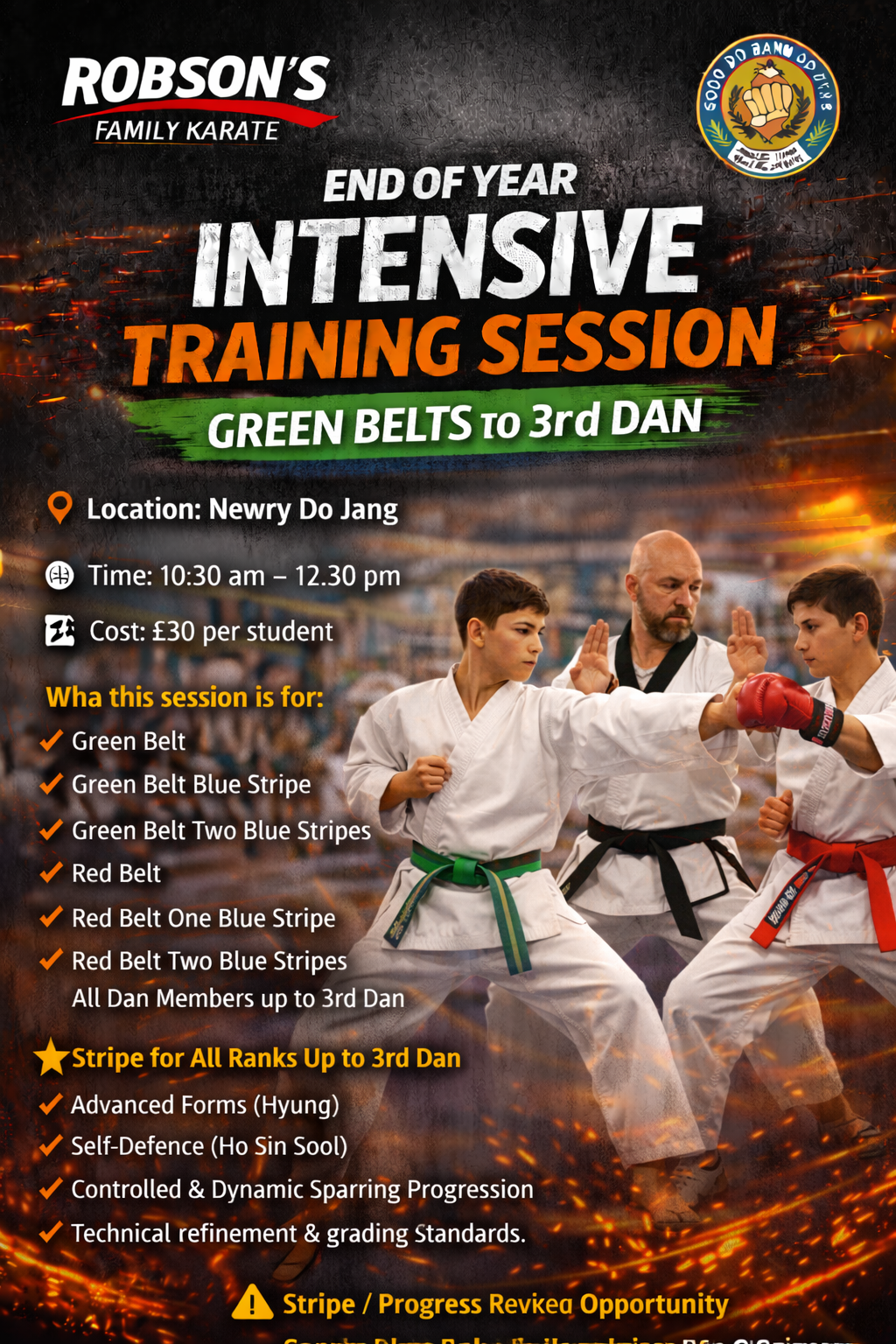 November - Intensive Training (Extended 3 hours) All Green Belt levels, All  Red Belt Levels and All Dan Members.
