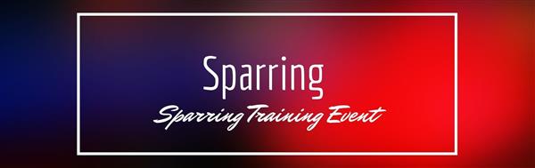 SPARRING WORKSHOP