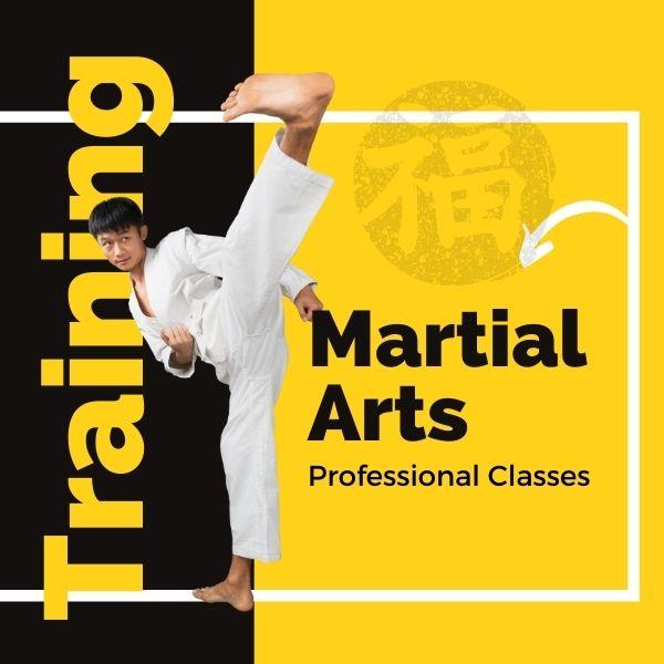 ULTIMATE TRAINING PROGRAM KICKBOXING & KARATE